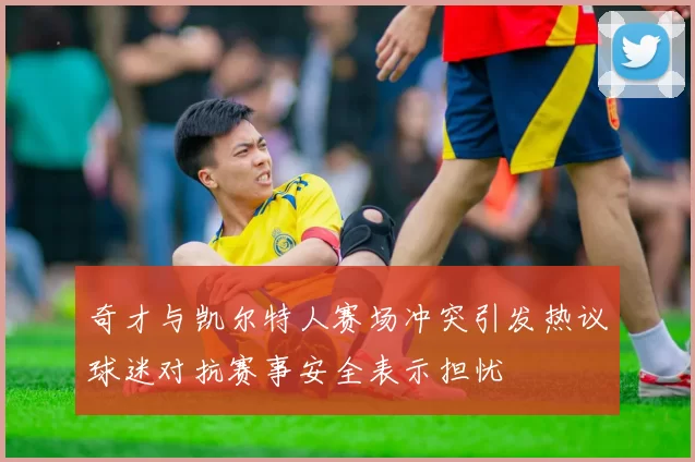 奇才与凯尔特人赛场冲突引发热议球迷对抗赛事安全表示担忧