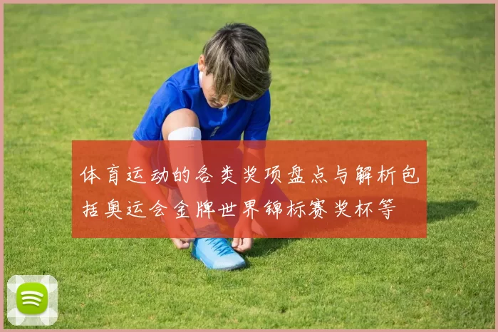 体育运动的各类奖项盘点与解析包括奥运会金牌世界锦标赛奖杯等
